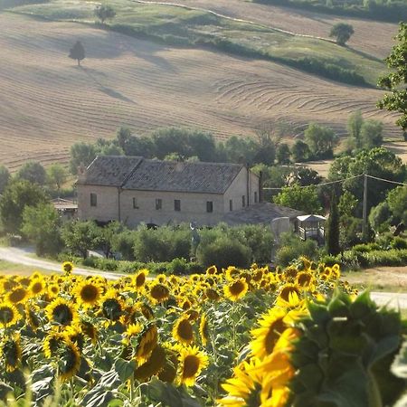 "La Casa Degli Ulivi Art B&B" Рипе Экстерьер фото
