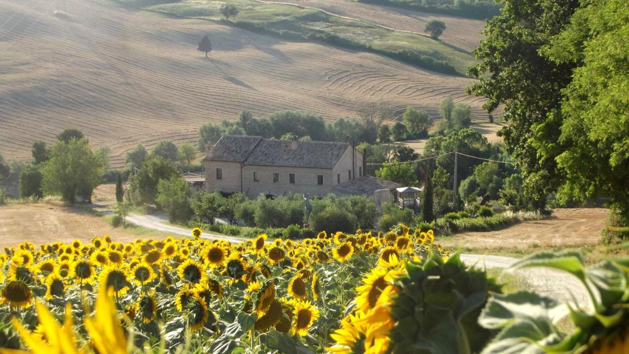 "La Casa Degli Ulivi Art B&B" Рипе Экстерьер фото