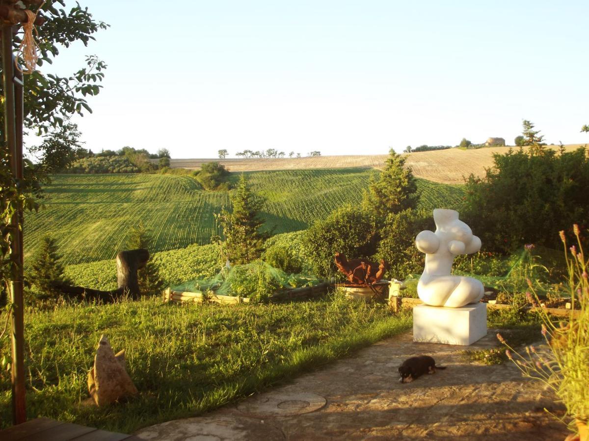 "La Casa Degli Ulivi Art B&B" Рипе Экстерьер фото