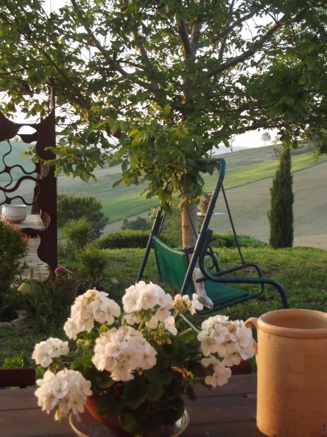 "La Casa Degli Ulivi Art B&B" Рипе Экстерьер фото