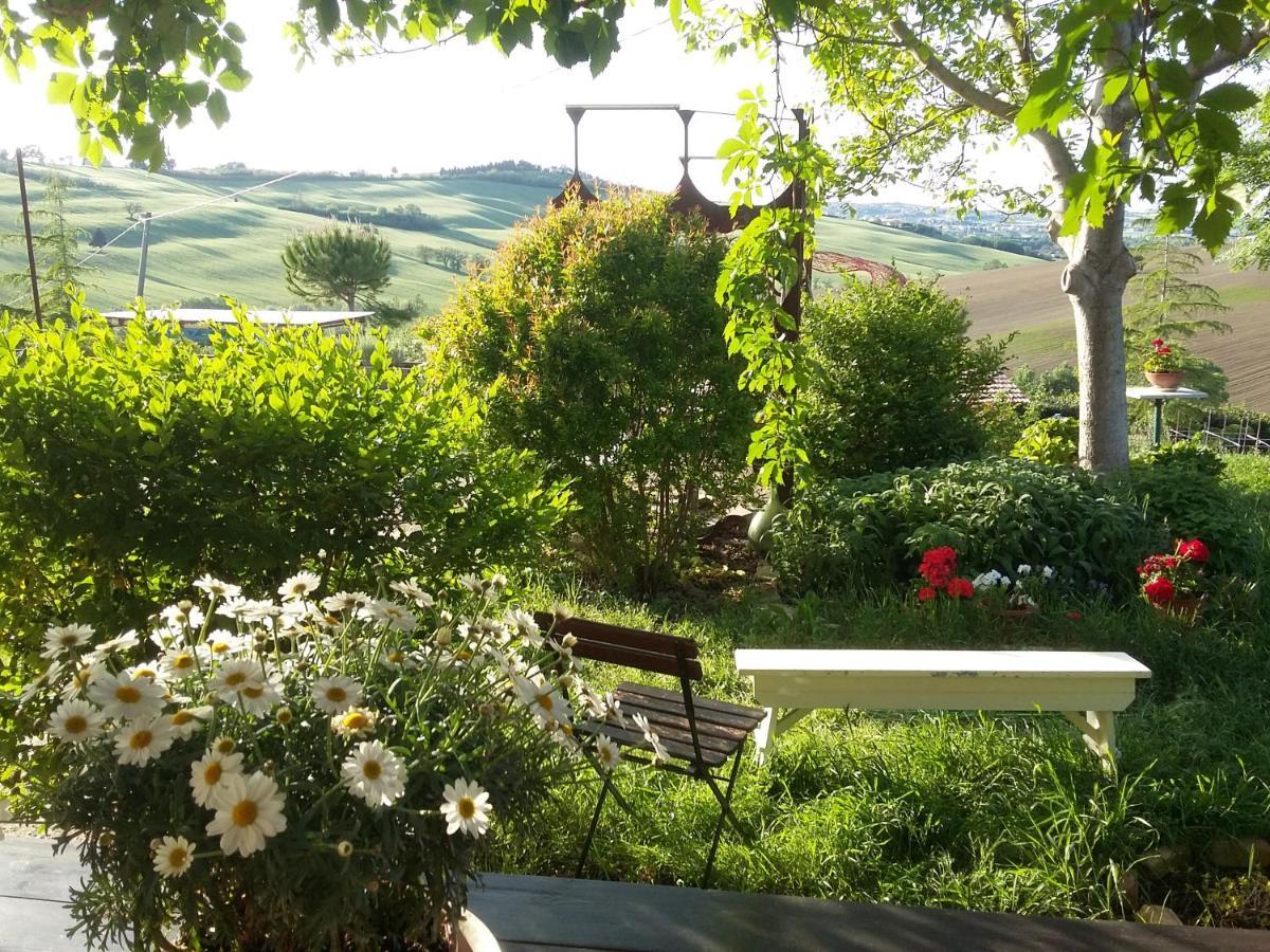"La Casa Degli Ulivi Art B&B" Рипе Экстерьер фото