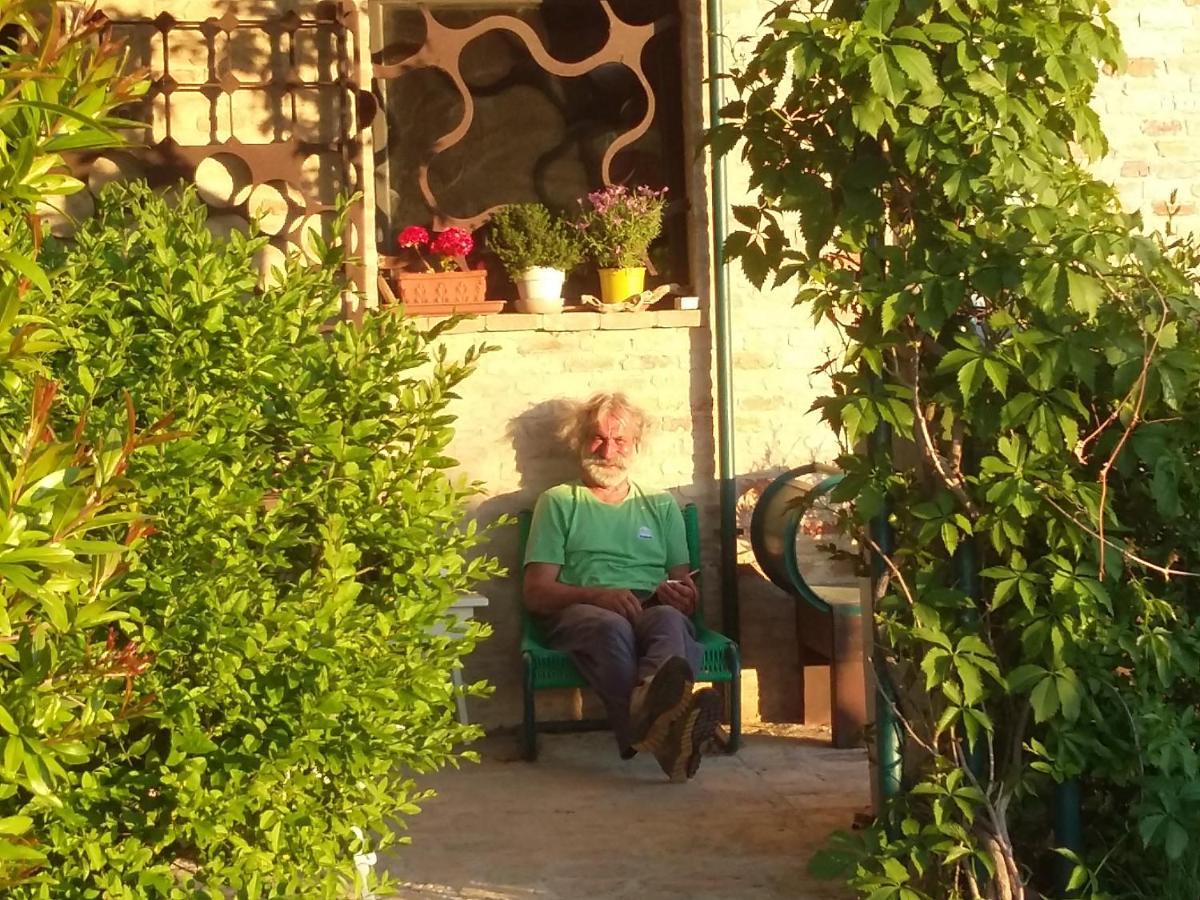 "La Casa Degli Ulivi Art B&B" Рипе Экстерьер фото
